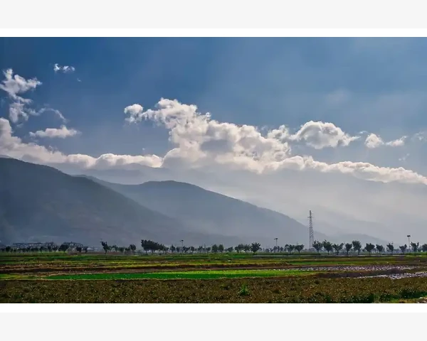 脑垂体瘤合并脾胃虚弱：中西医结合的综合调理方案