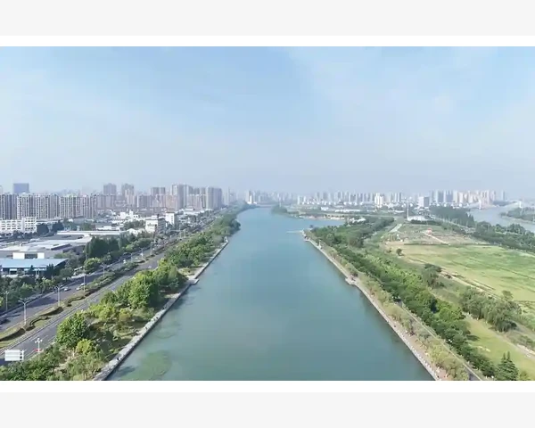 脑外伤康复：中医推荐食物与方法助您重拾健康